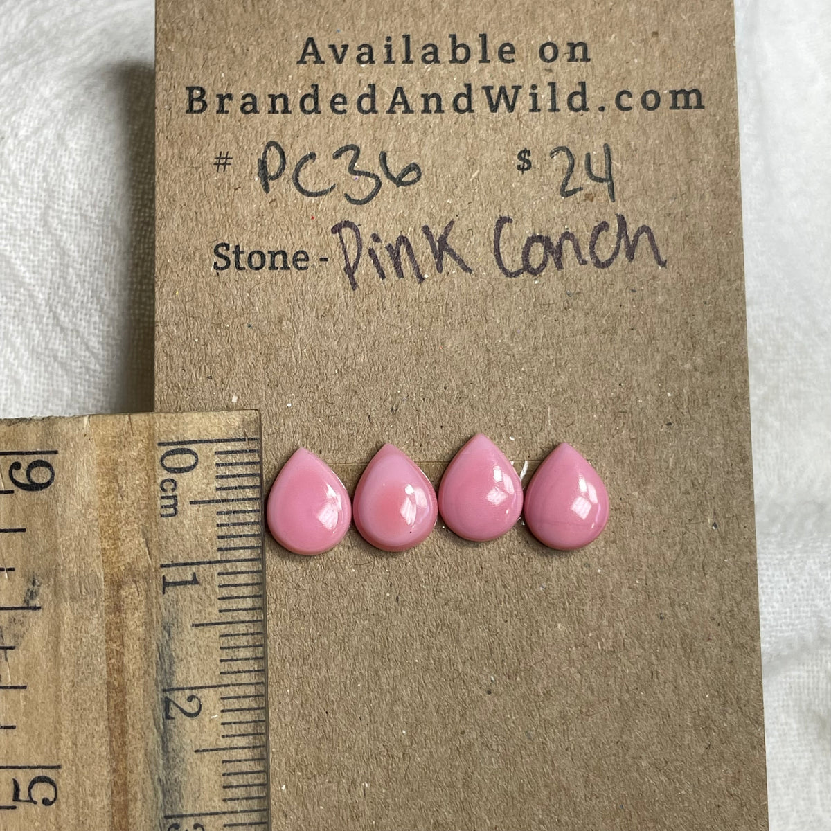 Pink Conch Cabochon - PC36 2ED50339-11DB-44FC-AFB4-38E300DC9945 Brandedandwild.com
