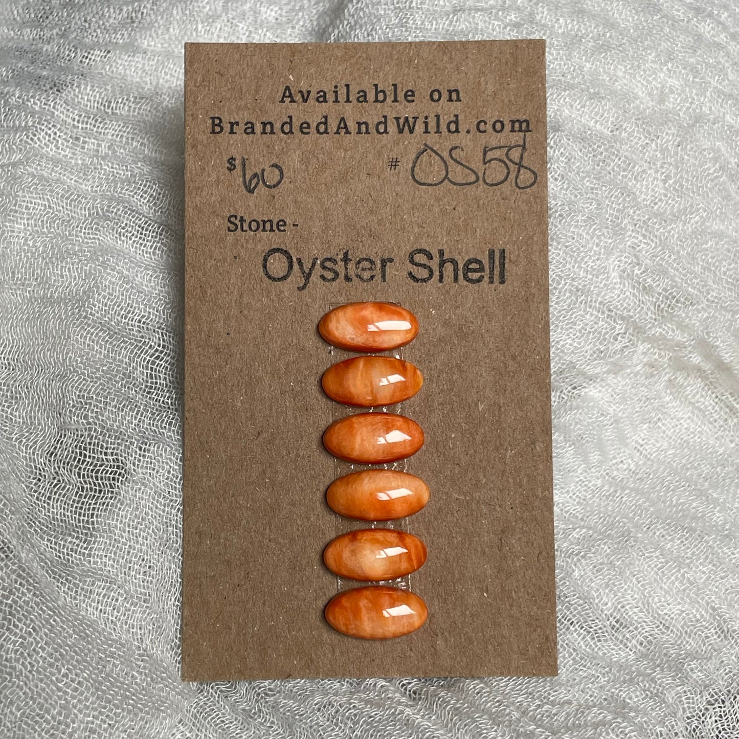 Oyster Shell Cabochon - OS58