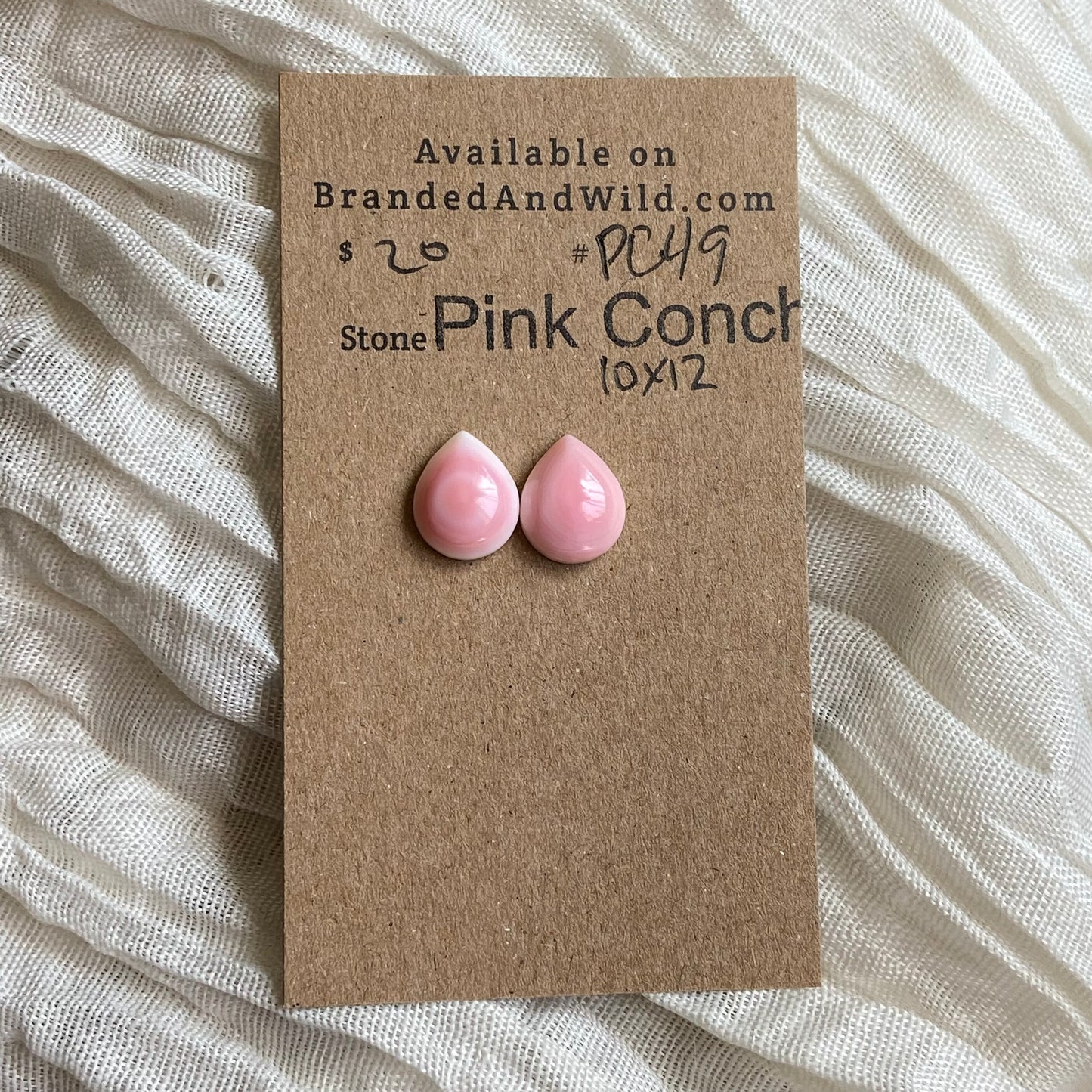 Pink Conch Cabochon - PC49