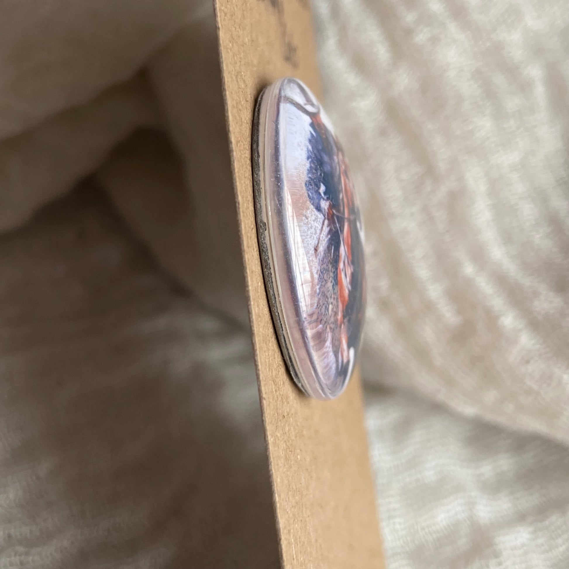 Picture Cabochon - Cabochon - PC72 2F0635B3-0056-4972-AEC3-5F2614C38B77 Brandedandwild.com
