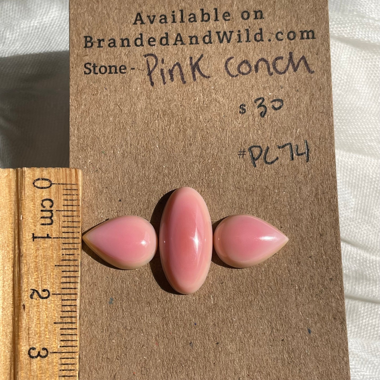 Pink Conch Cabochon - PC74 2F16C8E1-28C8-43DB-8191-3E28D1E4E576 Brandedandwild.com