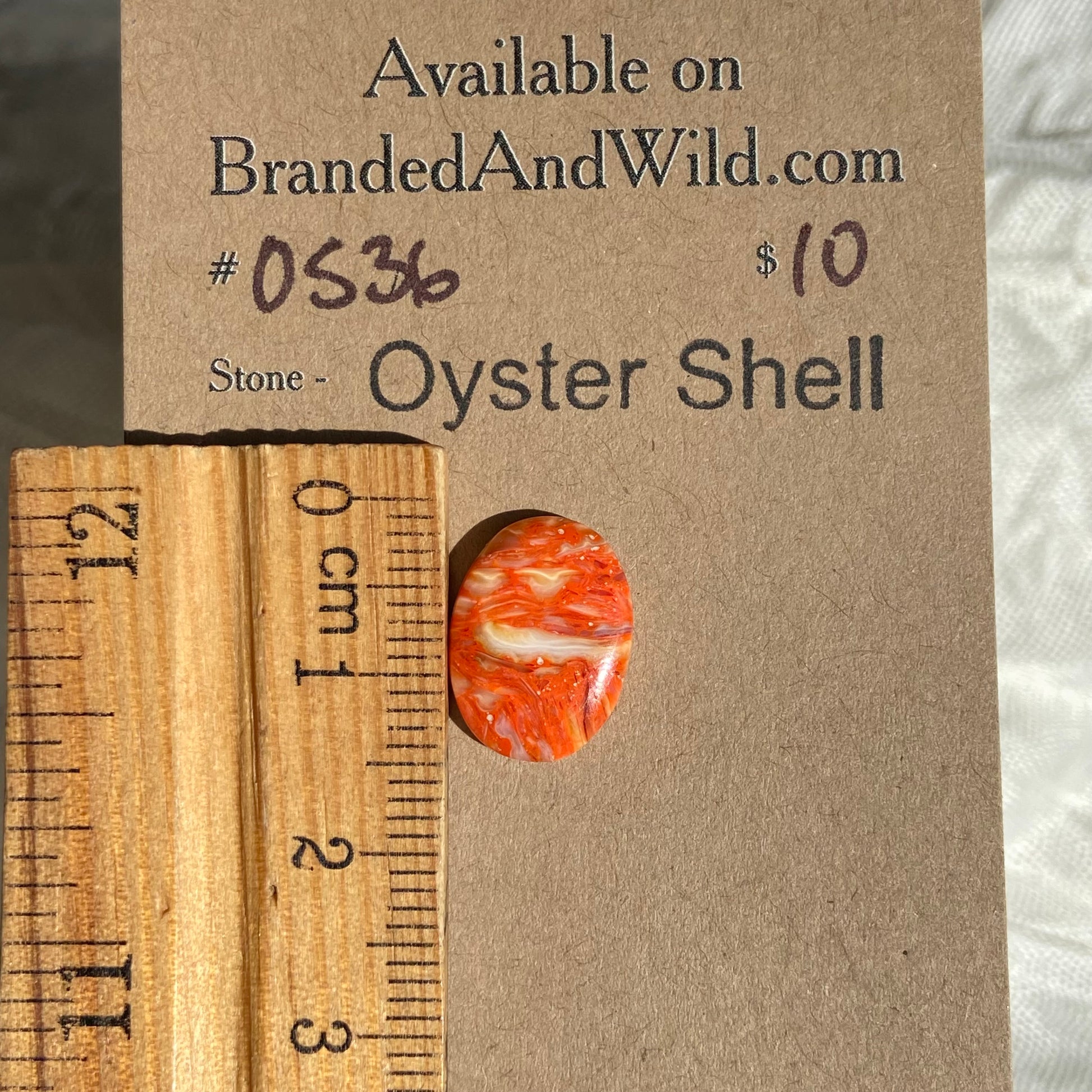 Oystershell Cabochon - OS36 2F577380-8B15-4084-B40E-60A453DE83A2 Brandedandwild.com