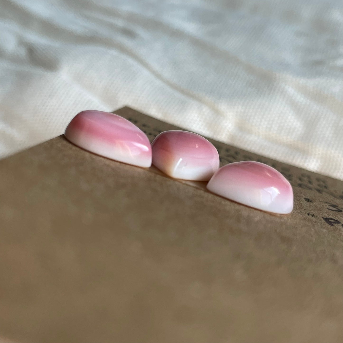Pink Conch Cabochon - PC60 2F78E728-5E29-40C0-8043-6305DA4FED38 Brandedandwild.com