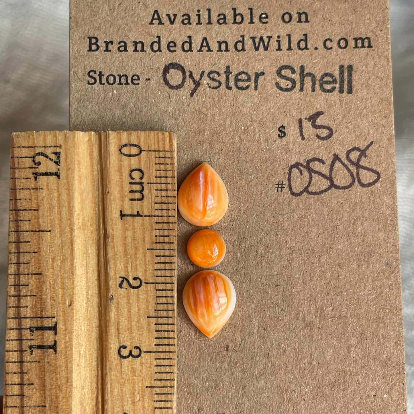 Oyster Shell Cabochon - OS08