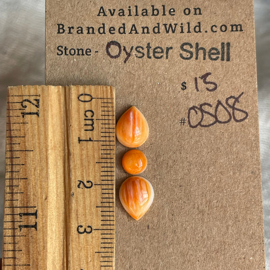 Oyster Shell Cabochon - OS08