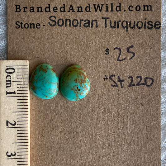 Sonoran Turquoise Cabochon - ST220