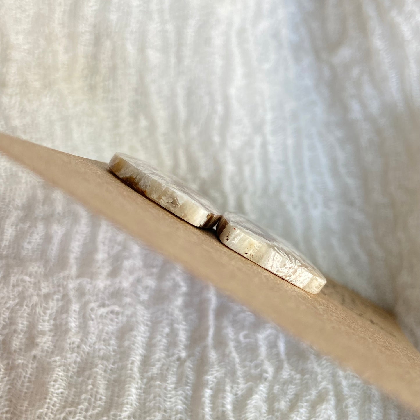 Fossil Coral Cabochon - FC45