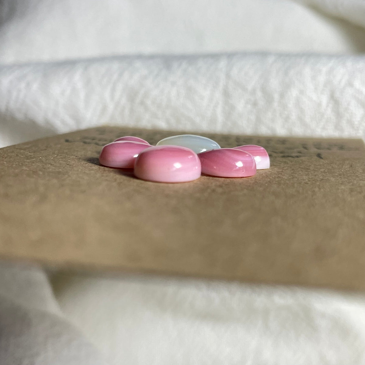 Pink Conch / Kingman Turquoise Cabochon - MIX162