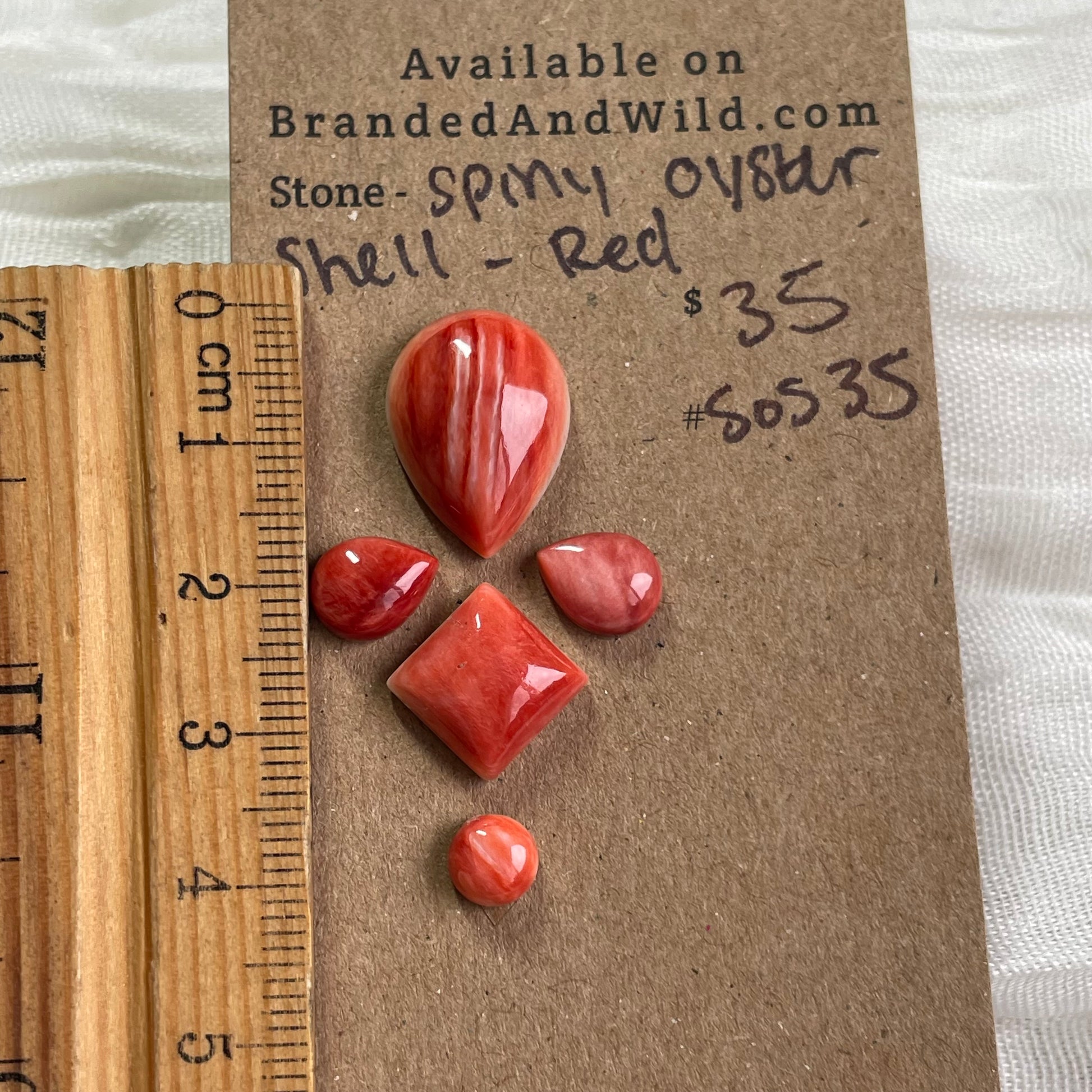 Oyster Shell Cabochon - S0S35 2FF787D6-274C-40C4-B58C-541C9F3BFC8E Brandedandwild.com
