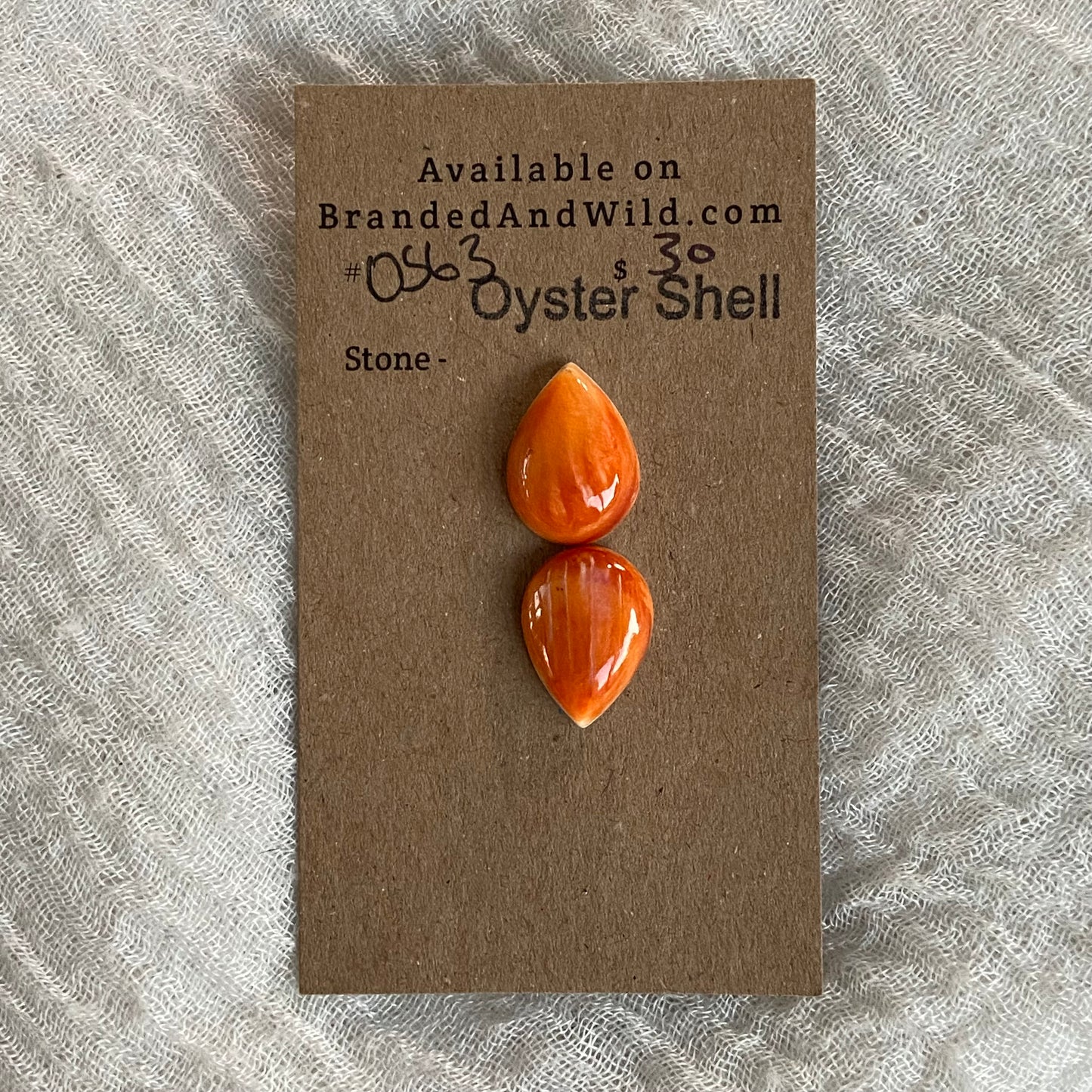 Oyster Shell Cabochon - OS63