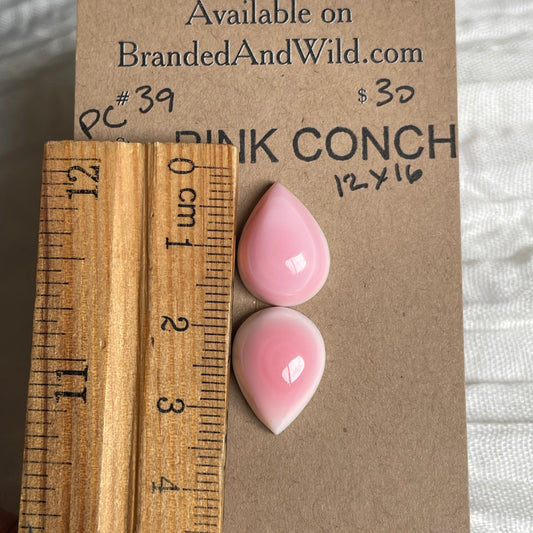 Pink Conch Cabochon - PC39 302AF7DC-F12D-4826-9A04-2FC3973B28C9 Brandedandwild.com