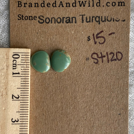 Sonoran Turquoise Cabochon - ST120
