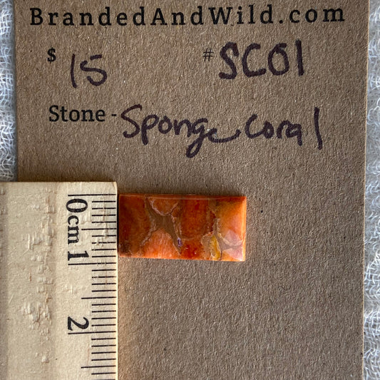 Sponge Coral Cabochon - SC01