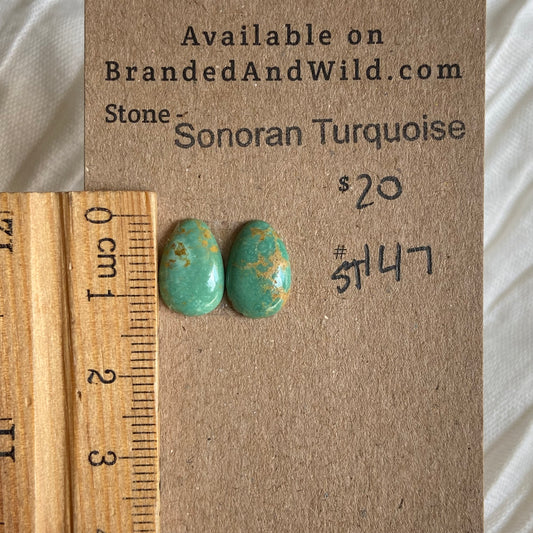 Sonoran Turquoise Cabochon - ST147 305F89D2-B248-4D23-916B-247065FD348D Brandedandwild.com