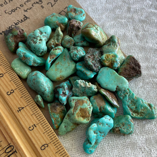 Rough Tumbled Sonoran Gold Turquoise - #ST17