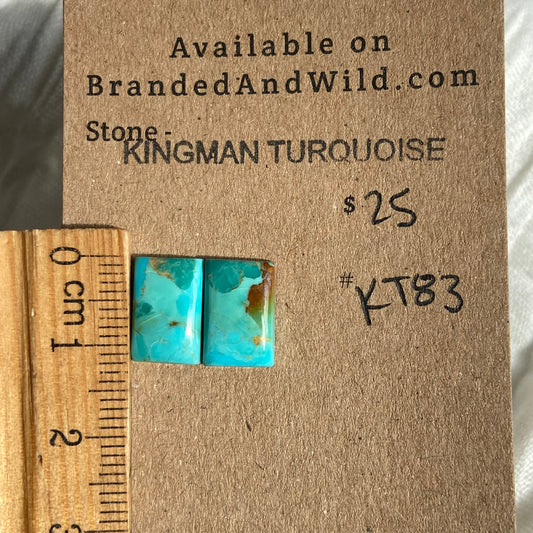 Kingman Turquoise Cabochon - KT83 307FE9F4-DED5-47E4-82C5-D826FE663311 Brandedandwild.com