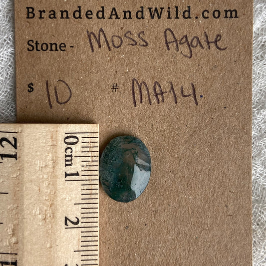 Moss Agate Cabochon - MA14