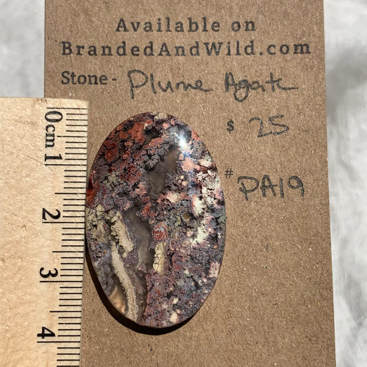 Plume Agate Cabochon - PA19