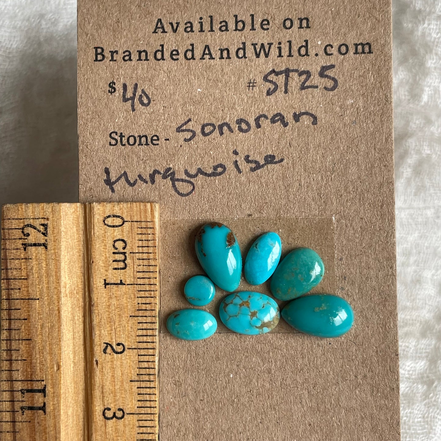 Sonoran Turquoise Cabochon - ST25 30DAC085-1955-4DD1-8091-39A88EC6A7D3 Brandedandwild.com