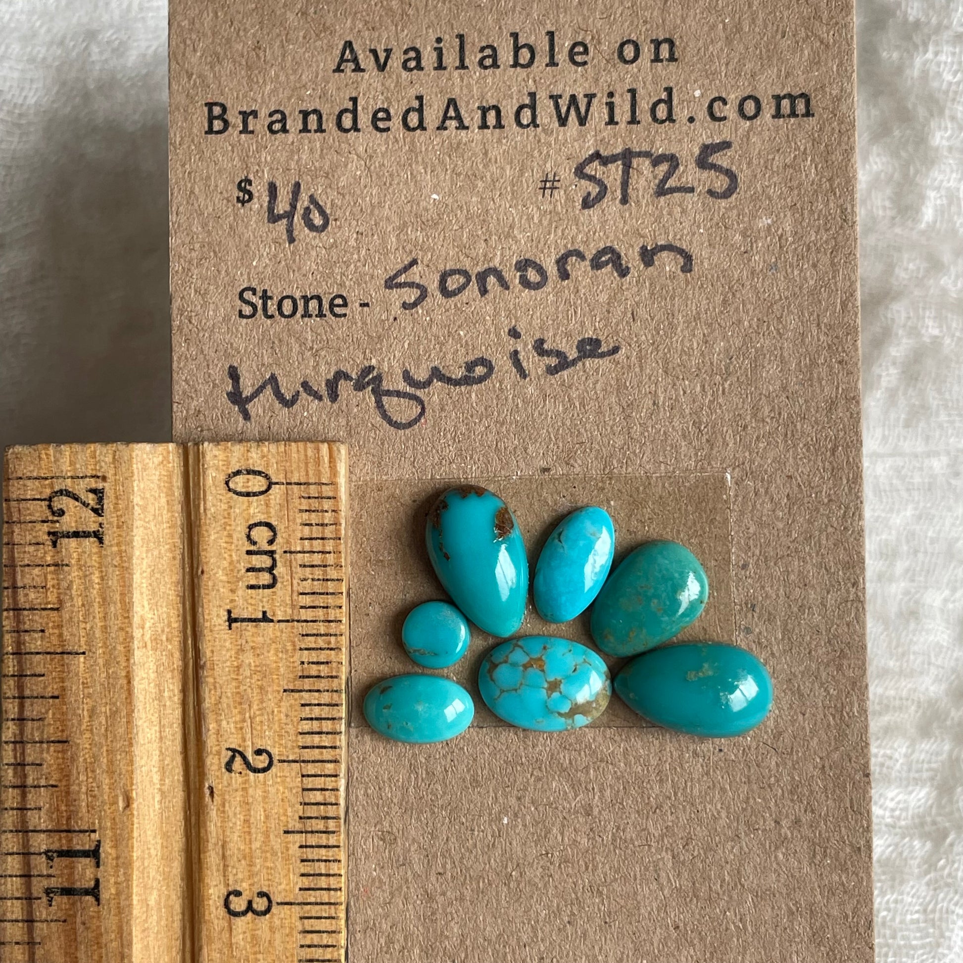 Sonoran Turquoise Cabochon - ST25 30DAC085-1955-4DD1-8091-39A88EC6A7D3 Brandedandwild.com