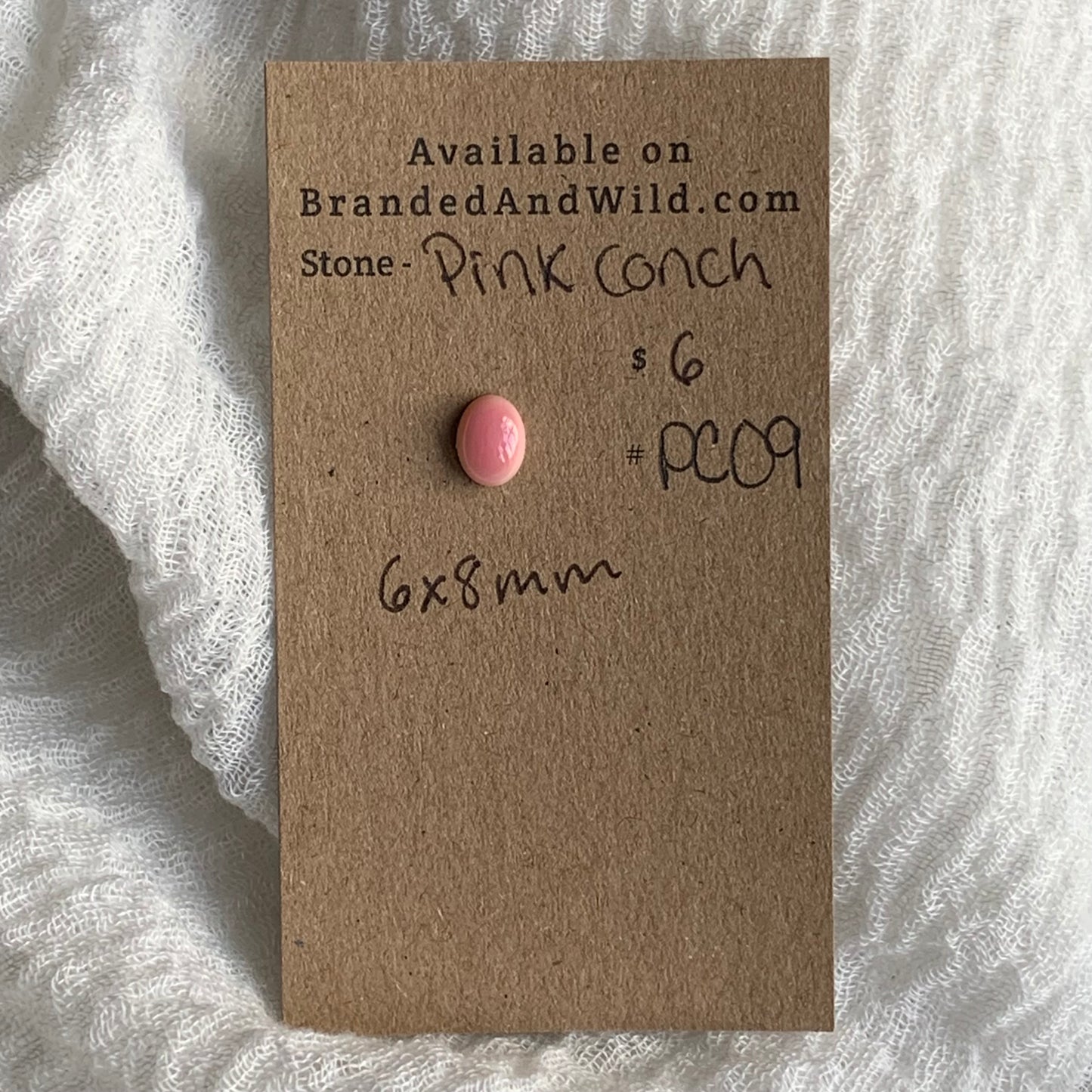 Pink Conch Cabochon - PC09