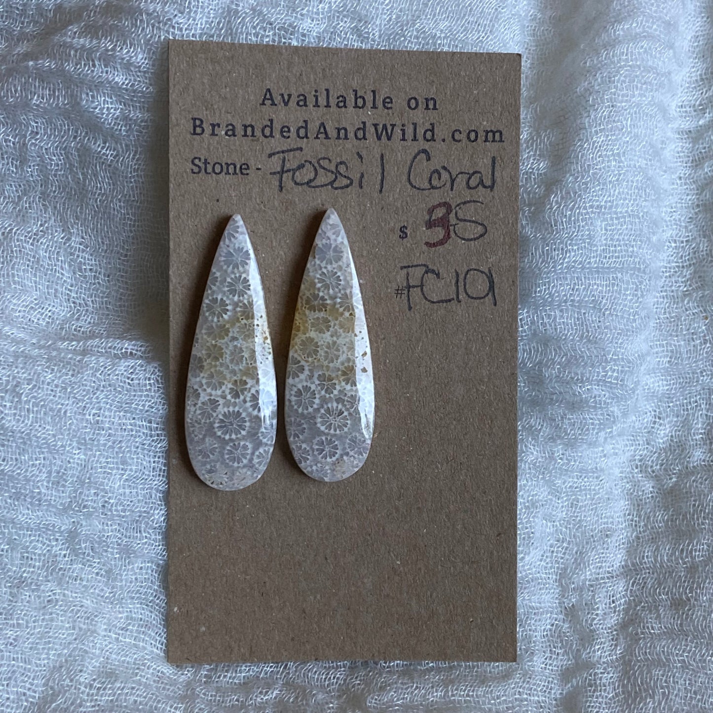Fossil Coral Cabochon - FC101