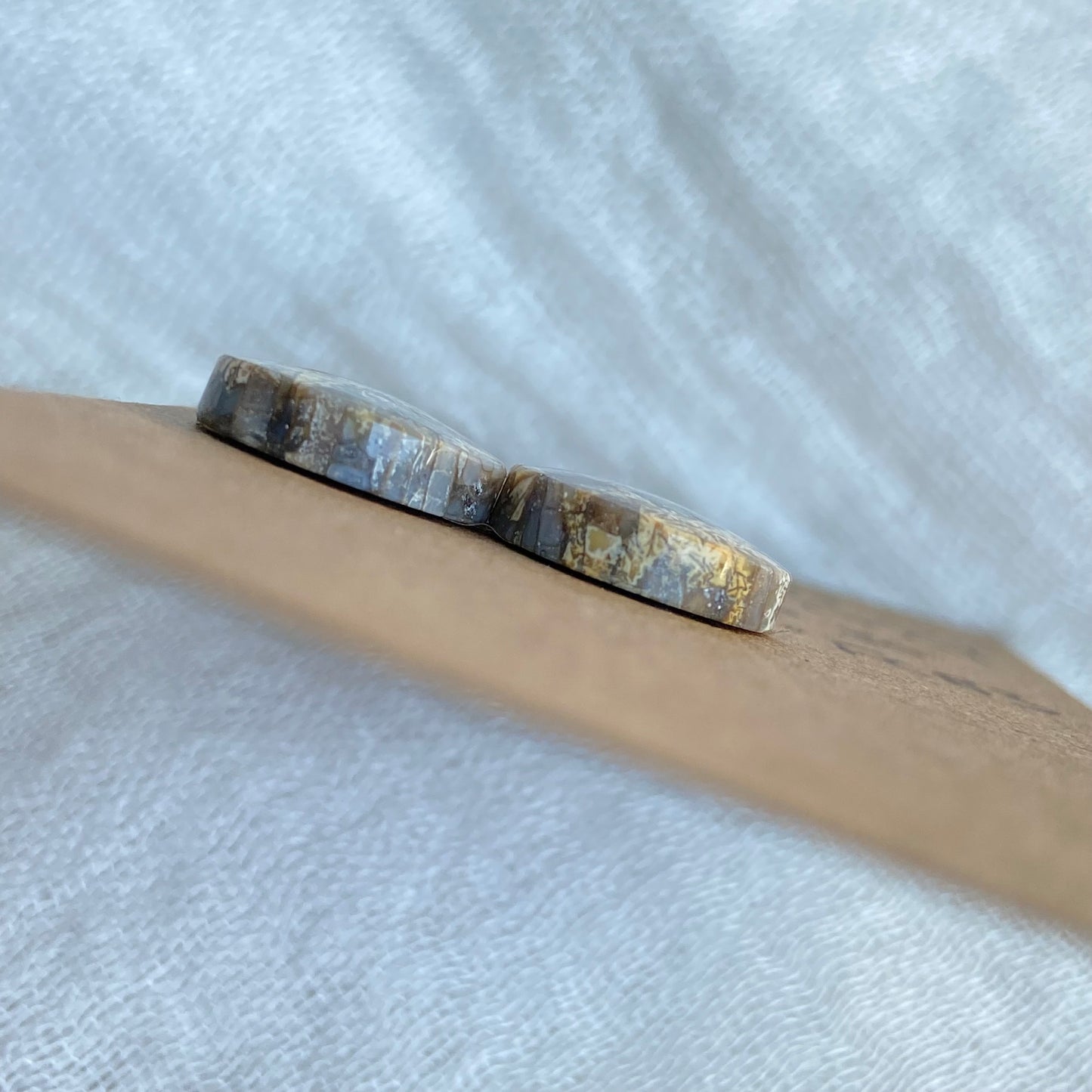 Fossil Coral Cabochon - FC83