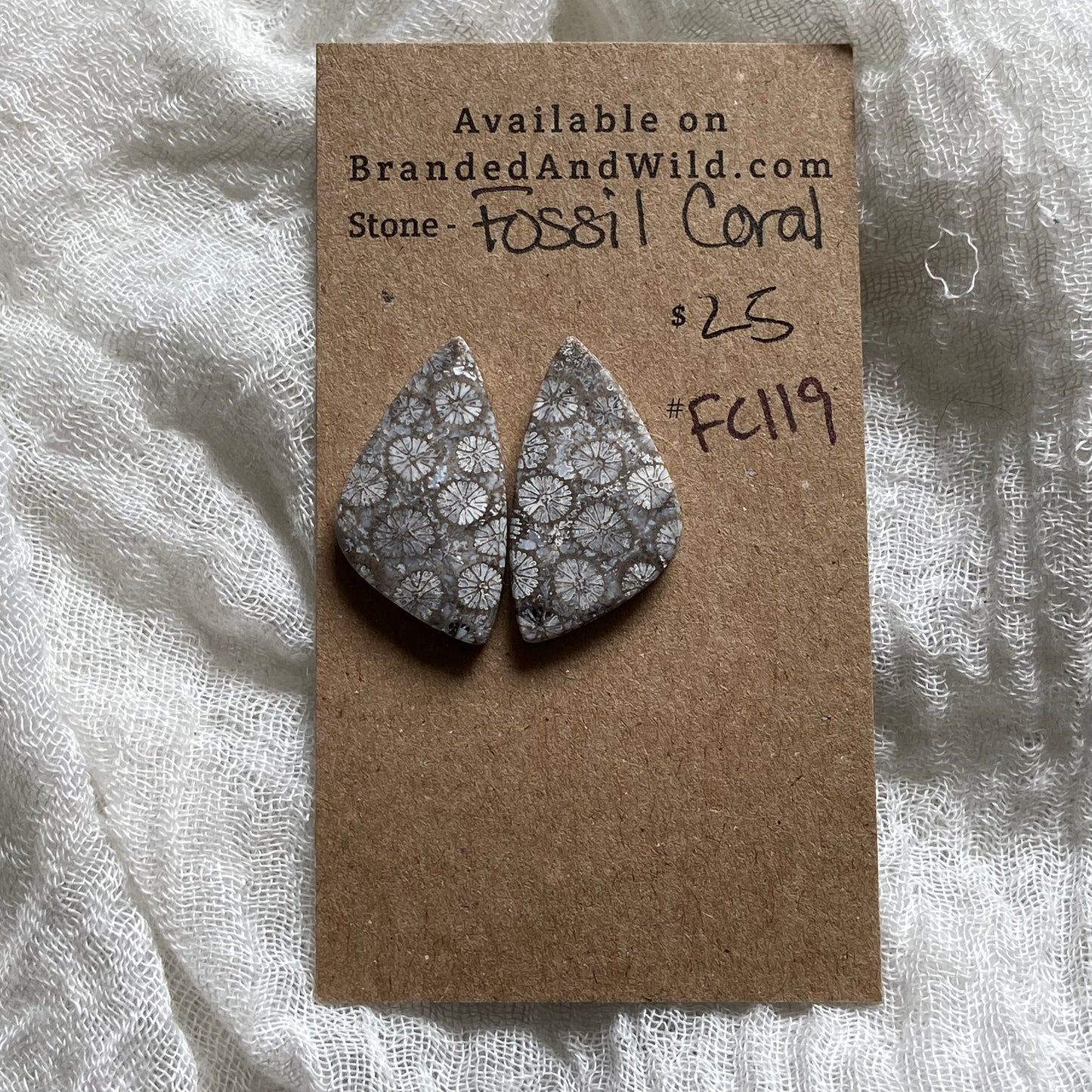 Fossil Coral Cabochon - FC119
