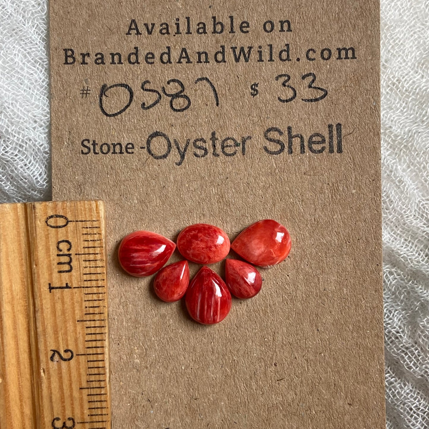 Oyster Shell Cabochon - OS87