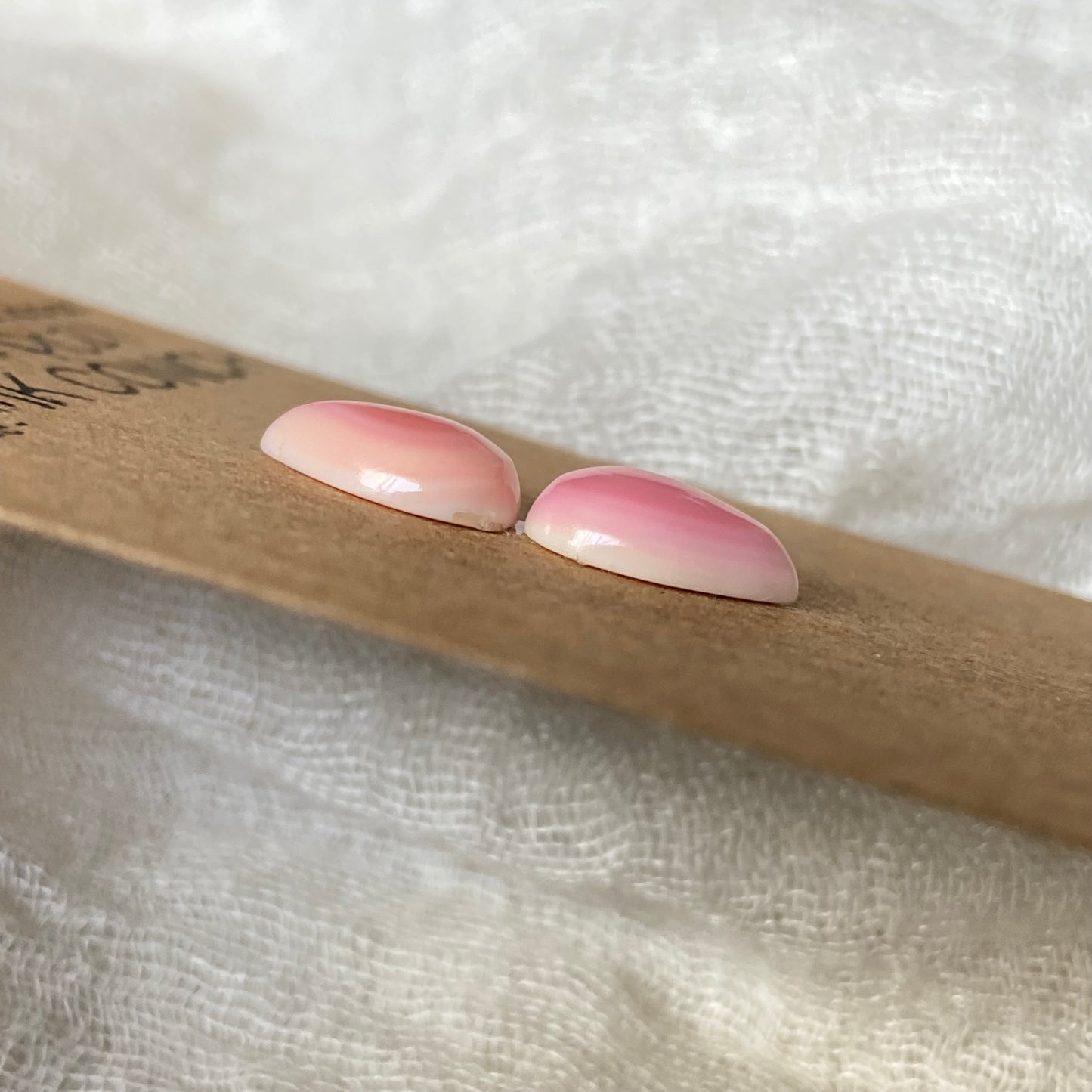 Pink Conch Cabochon - PC21 31800C43-B821-47F6-B078-A56C763DD83A Brandedandwild.com