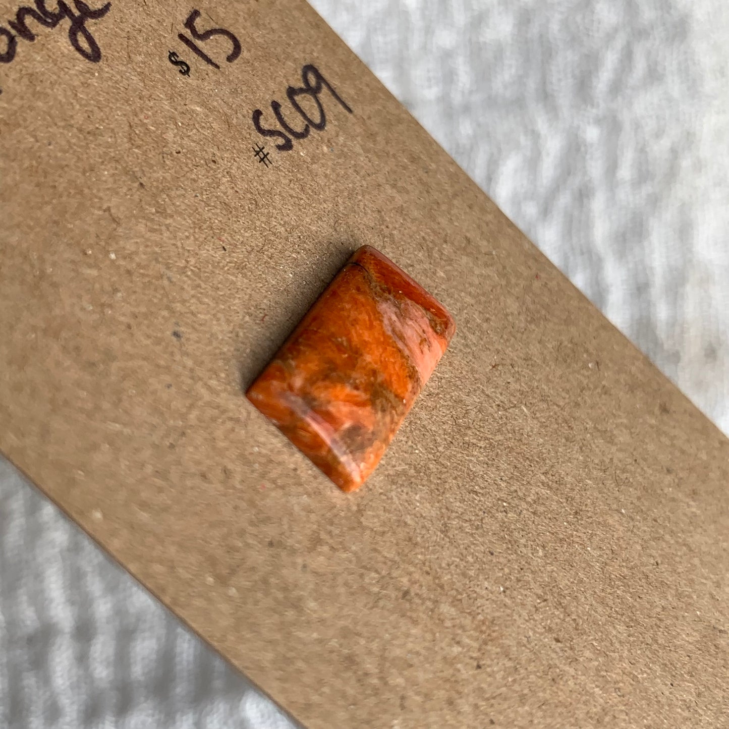 Sponge Coral Cabochon - SC09