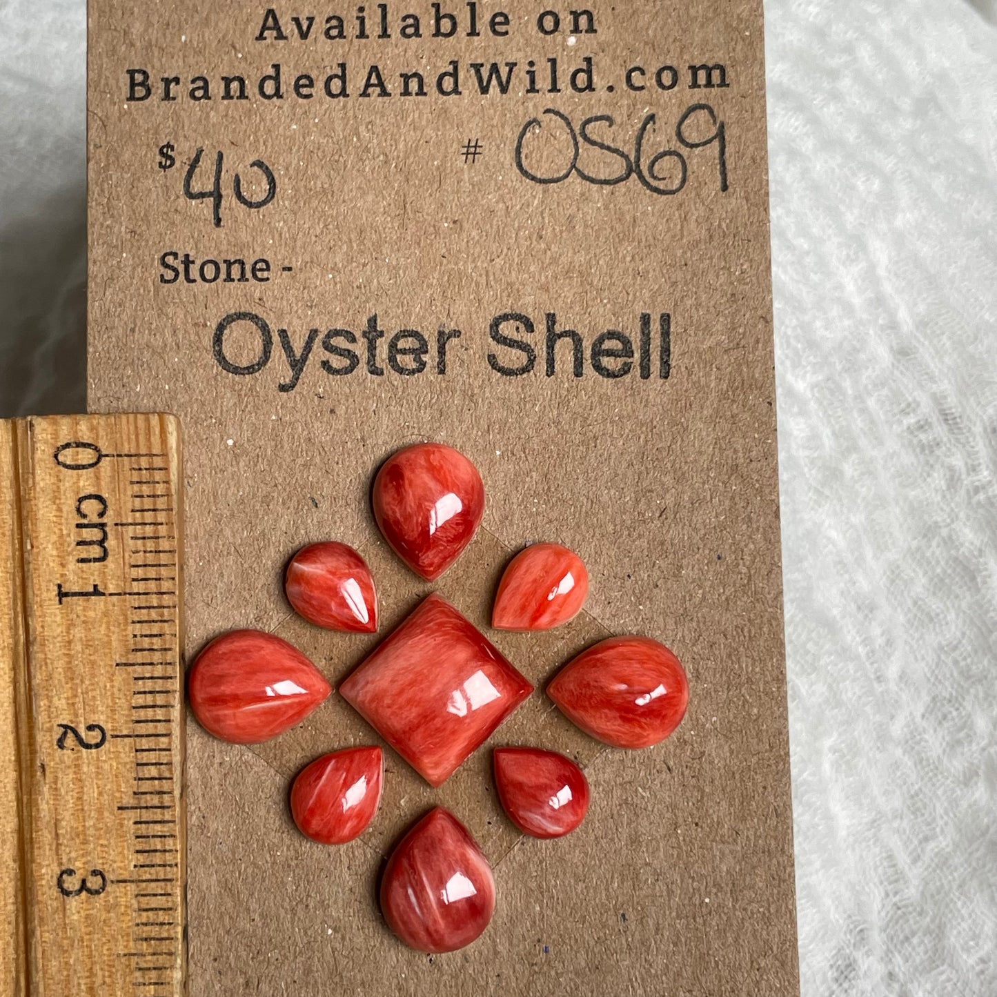 Oyster Shell Cabochon - OS69