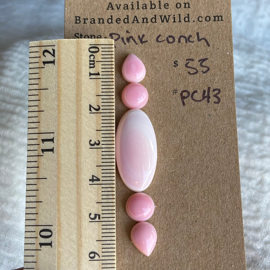 Pink Conch Cabochon - PC43