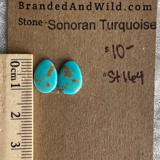 Sonoran Turquoise Cabochon - ST164