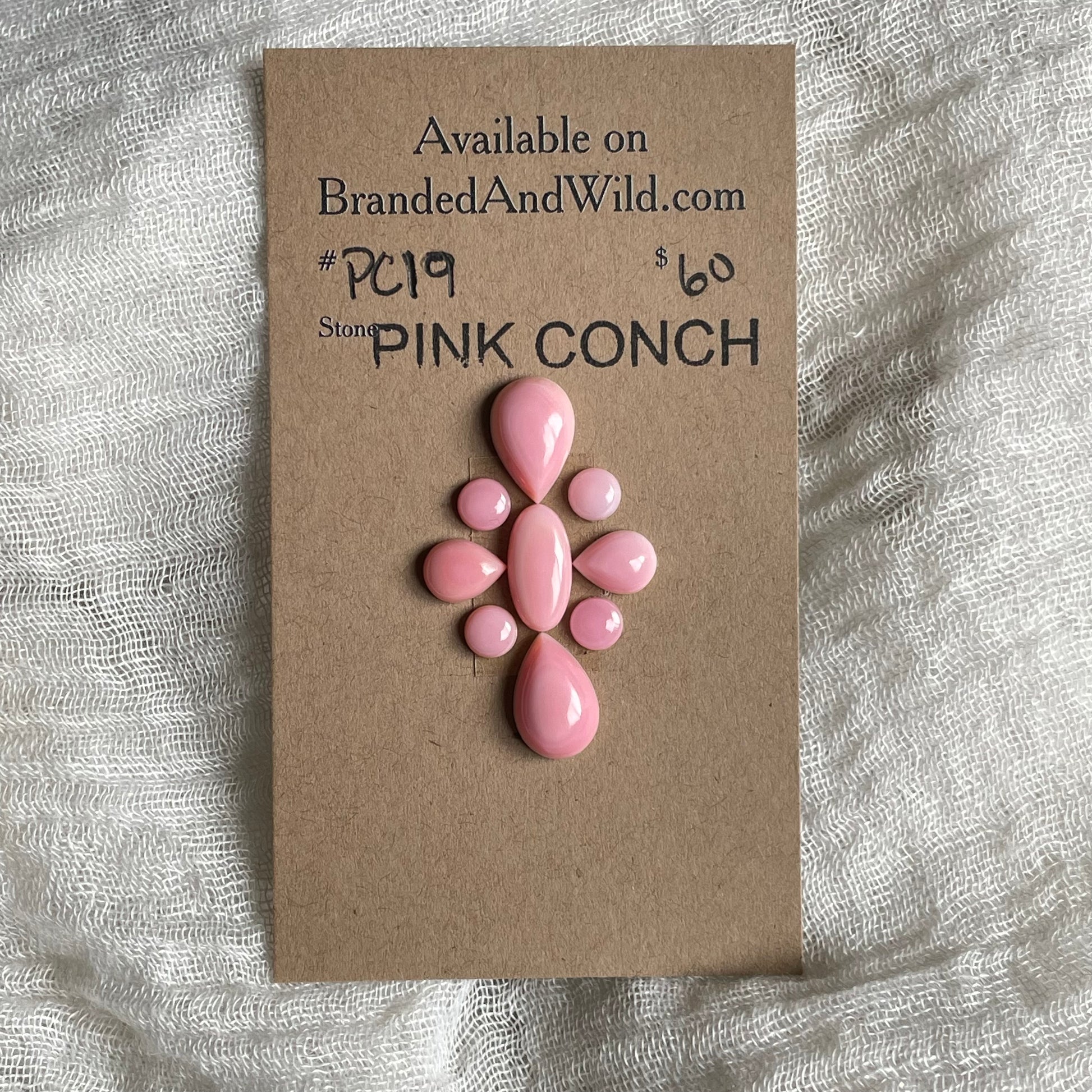 Pink Conch Cabochon - PC19 31F50EE6-7429-442F-AD18-8066ED4823D2 Brandedandwild.com