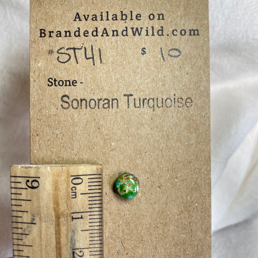 Sonoran Turquoise Cabochon - ST41 32227E67-B2E1-4EBE-A0C8-29A1E2371BF5 Brandedandwild.com