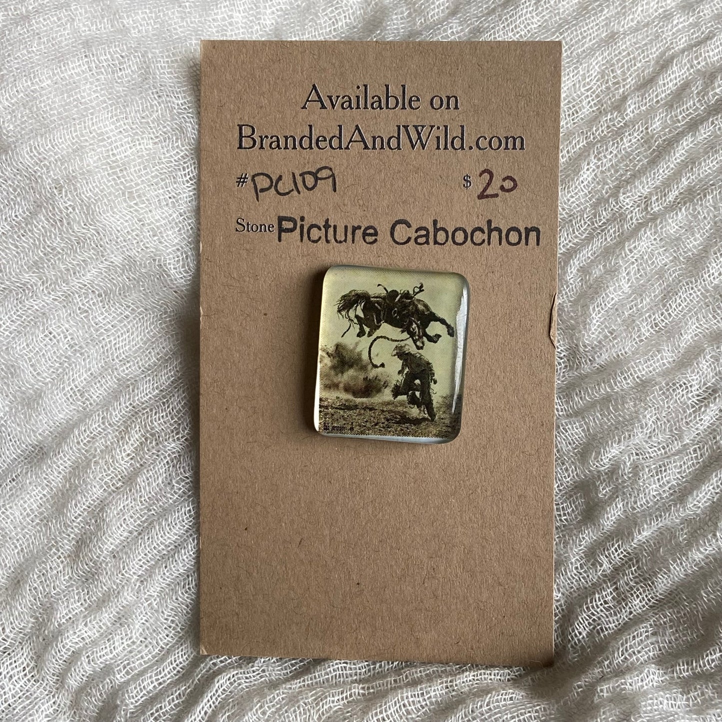 Picture Cabochon - Cabochon - PC59 322AFE8F-ACF0-4381-B46E-F443AA9B20EA Brandedandwild.com