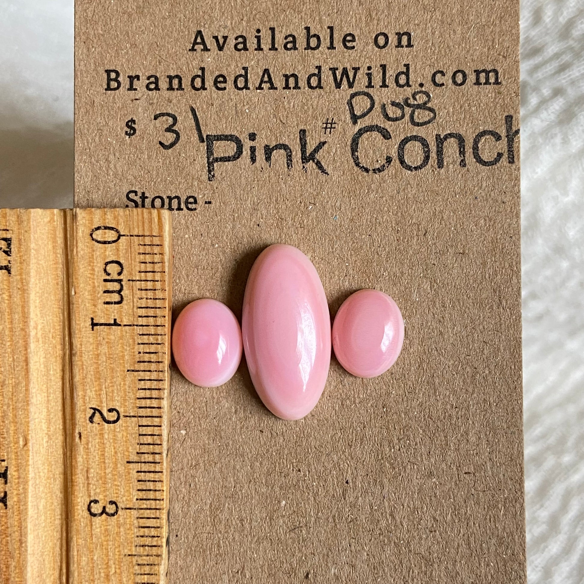 Pink Conch Cabochon - P08 323DC5AC-09B4-407B-8F8E-2F8DEE74B2C0 Brandedandwild.com