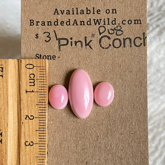 Pink Conch Cabochon - P08 323DC5AC-09B4-407B-8F8E-2F8DEE74B2C0 Brandedandwild.com
