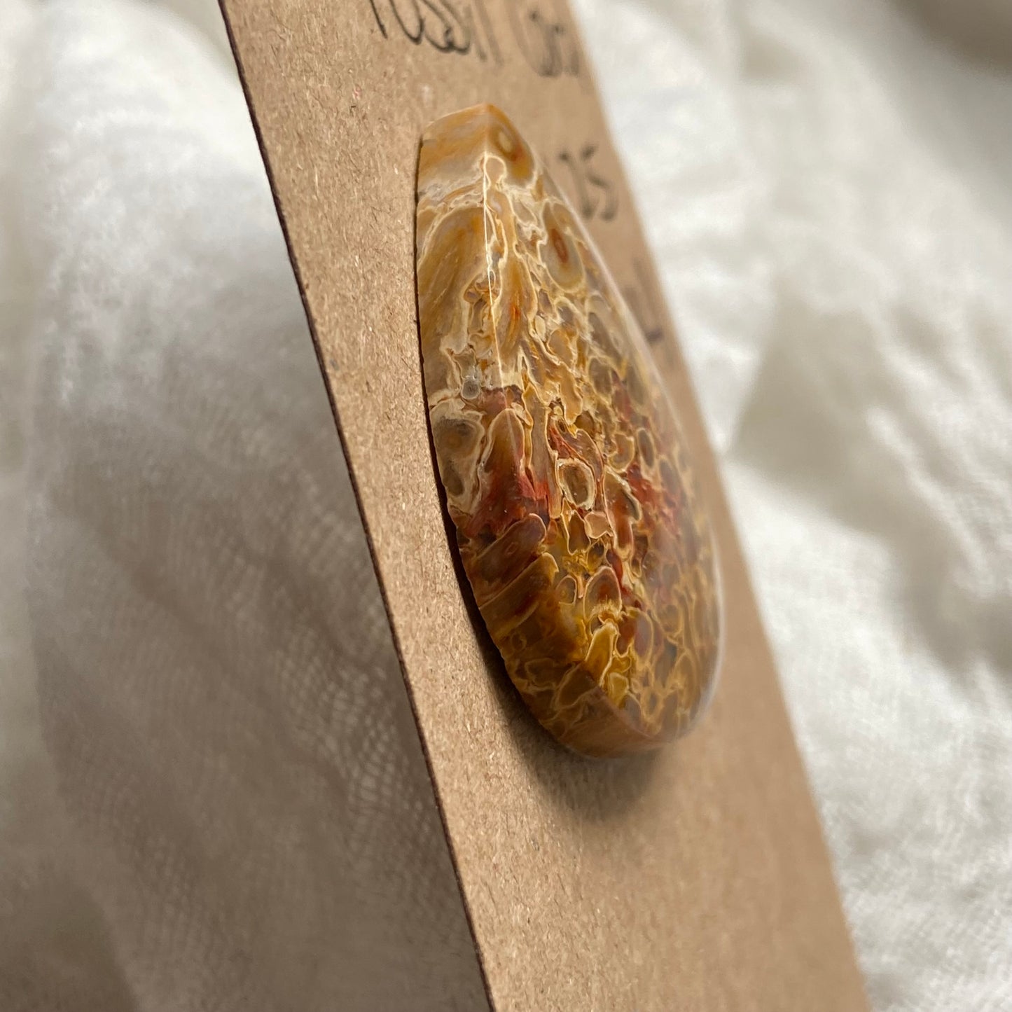 Fossil Coral Cabochon - FC14