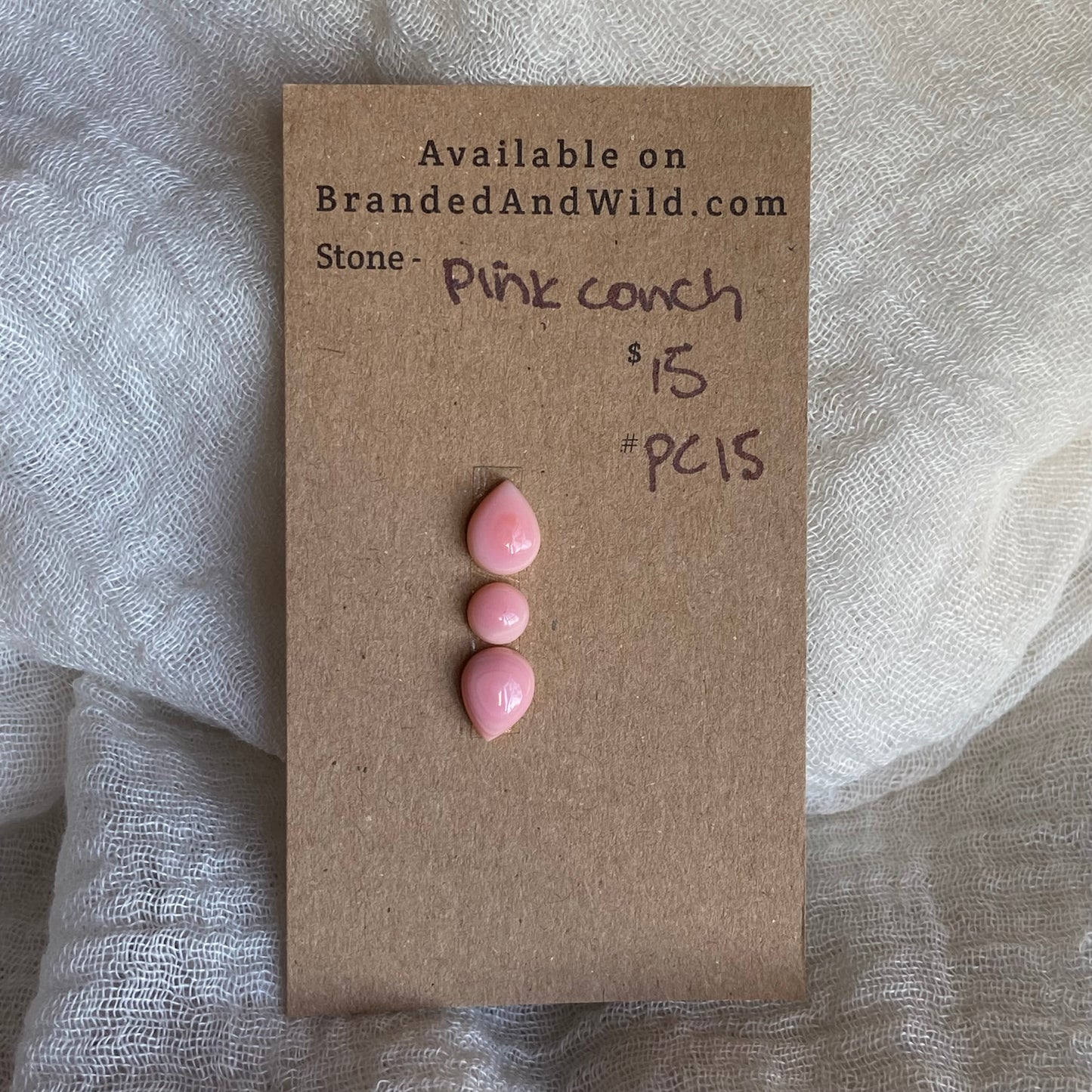 Pink Conch Cabochon - PC15