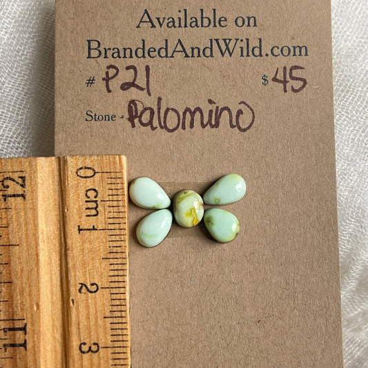 Palomino Cabochon - P21 324C5967-9F85-4010-9CC3-49888FC08BAE Brandedandwild.com