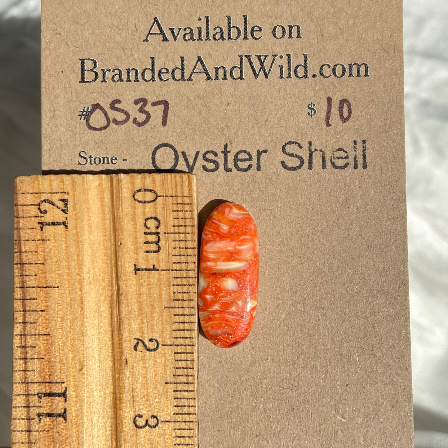Oystershell Cabochon - OS37 3283BE94-0107-4DE2-A523-591DA4444039 Brandedandwild.com