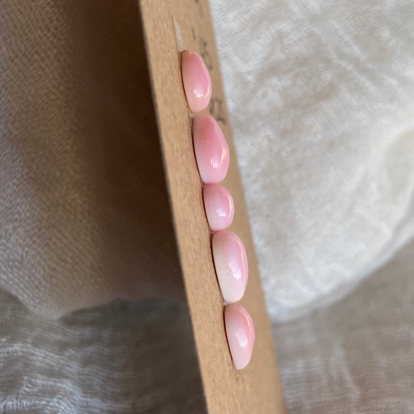 Pink Conch Cabochon - PC25