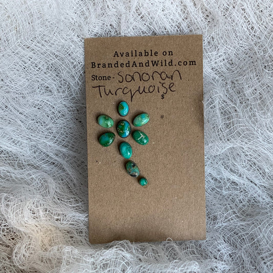 Sonoran Turquoise Cabochon - ST07