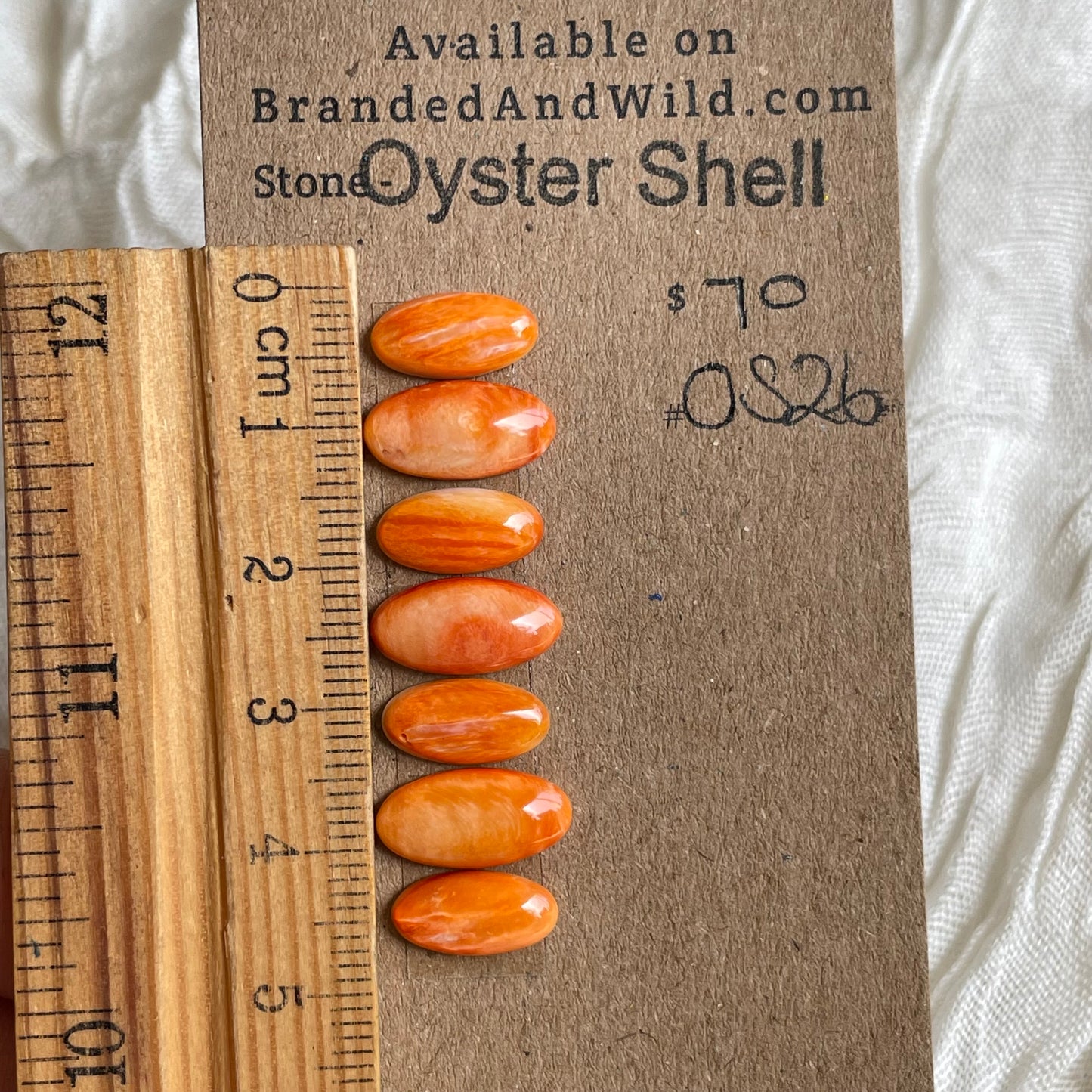 Oyster Shell Cabochon - OS26 32D60FB7-5AFF-461B-9BE9-0F0A30E2D569 Brandedandwild.com