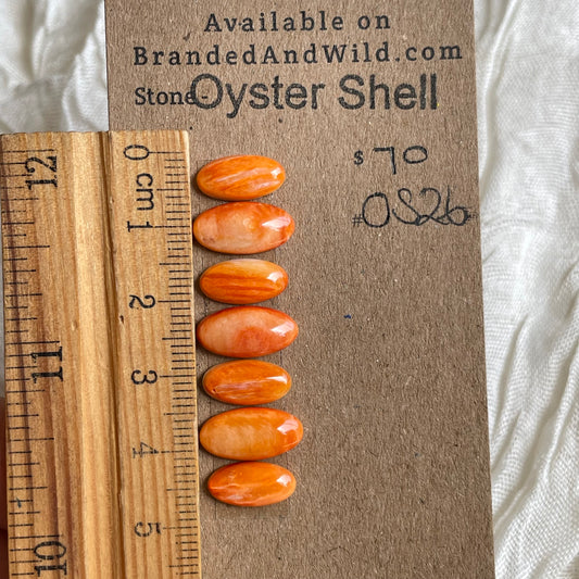 Oyster Shell Cabochon - OS26 32D60FB7-5AFF-461B-9BE9-0F0A30E2D569 Brandedandwild.com