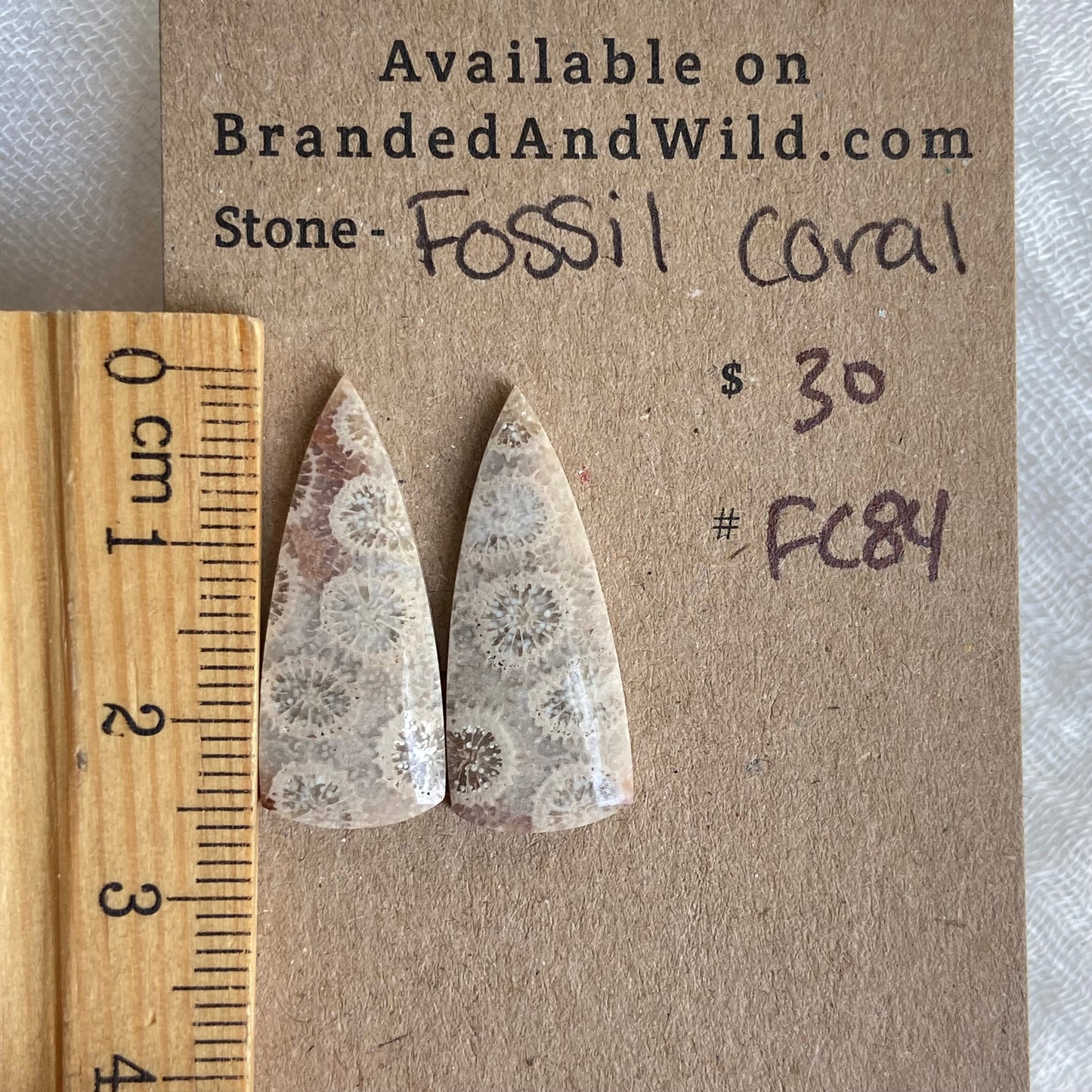 Fossil Coral Cabochon - FC86
