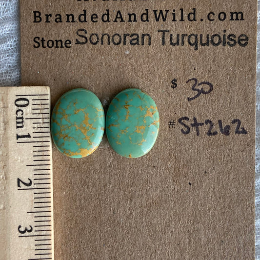 Sonoran Turquoise Cabochon - ST262