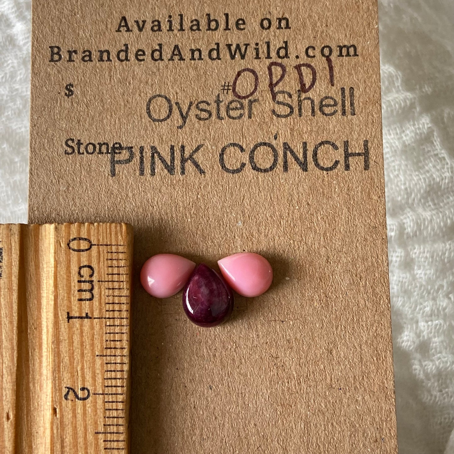 Pink Conch / Oyster Shell Cabochon - OP01